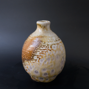 Bottle/Vase
